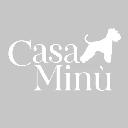 Гостьовий будинок Casa Minu В'яреджо